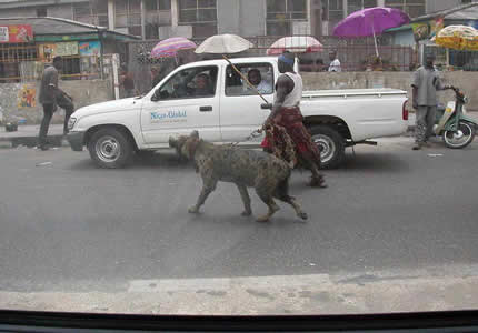 Walking The Dog In Nigeria